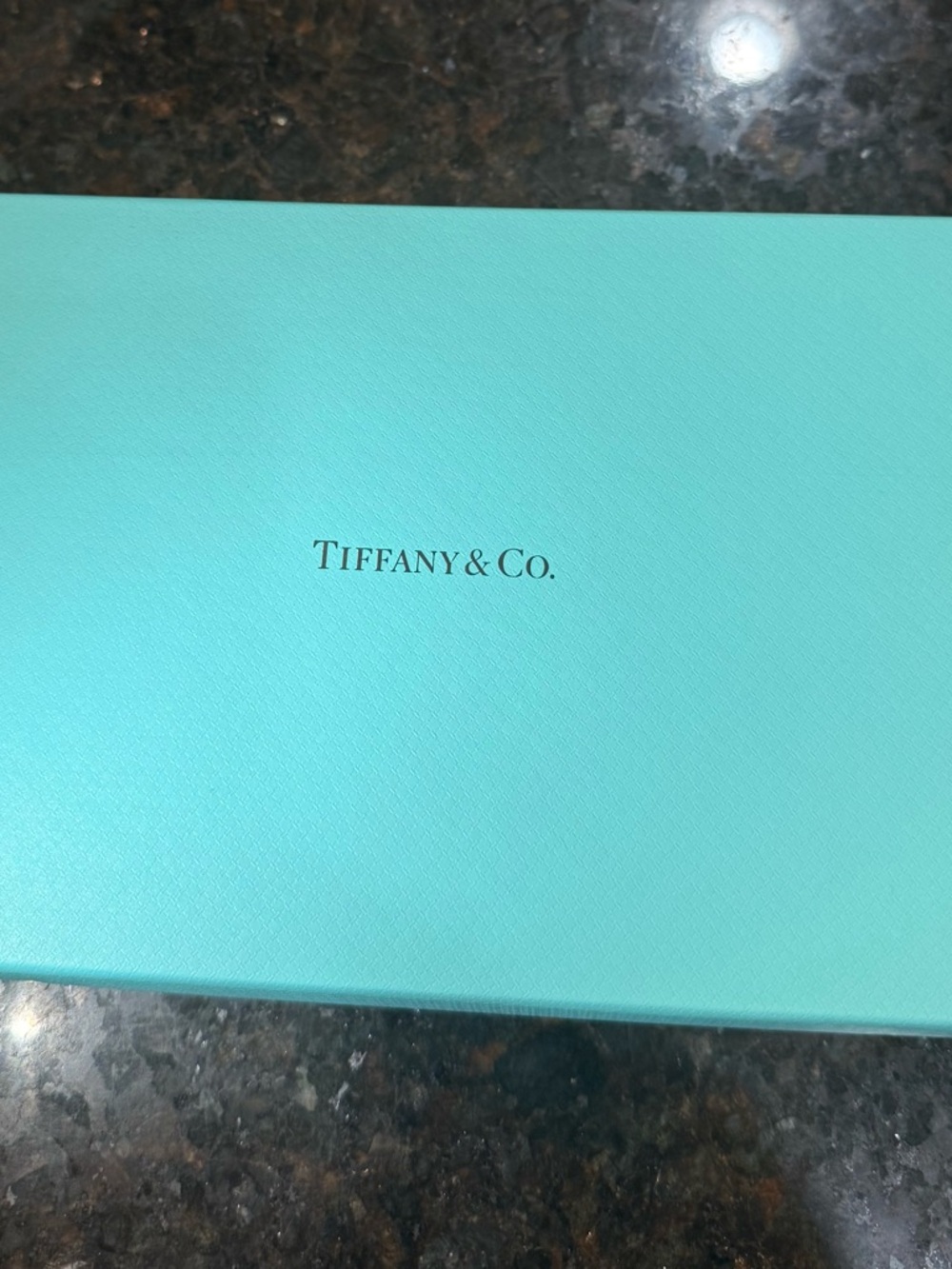 Tiffany & Co. Dog collar with original blue box - Picture 5 of 6